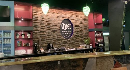 Creative Minds Behind Ope Brewing