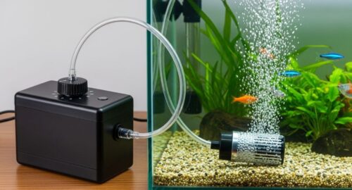 Aquarium air pump with adjustable control valve connected to clear airline tubing and bubble diffuser