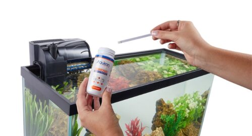 Best aquarium treatments for healthy fish and crystal-clear tank water