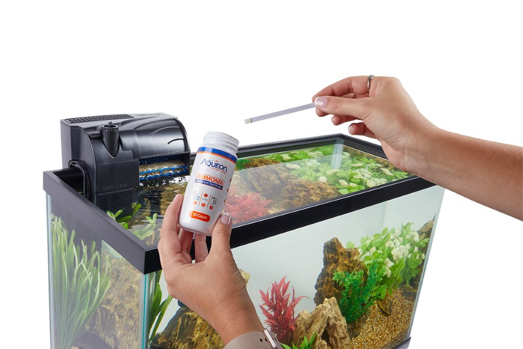 Best aquarium treatments for healthy fish and crystal-clear tank water