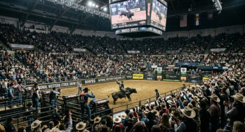 Crowds watching a professional bull riding competition at the National Western Stock Show 2027 in Denver