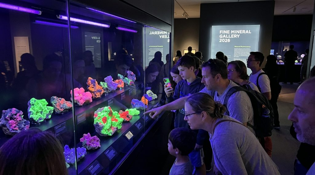 Visitors examining fluorescent minerals glowing under ultraviolet light at the Fine Mineral Gallery 2026